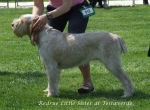 Filename=R-LittleSister.jpg
Filesize=68KiB
Dimensions=600x441
Date added=Sep 16, 2009 R-LittleSister.jpg