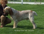 Filename=R-LiveTheDream.jpg
Filesize=73KiB
Dimensions=600x471
Date added=Sep 16, 2009 R-LiveTheDream.jpg
