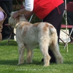 Filename=T-DoubleJack.jpg
Filesize=75KiB
Dimensions=600x604
Date added=Sep 16, 2009 T-DoubleJack.jpg