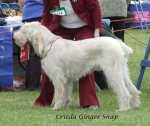 Filename=C-GingerSnap.jpg
Filesize=67KiB
Dimensions=600x507
Date added=Sep 16, 2009 C-GingerSnap.jpg