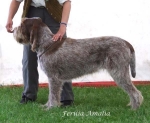 Filename=F-Amalia.jpg
Filesize=56KiB
Dimensions=600x492
Date added=Sep 16, 2009 F-Amalia.jpg