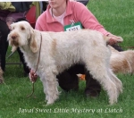 Filename=J-SweetLittleMystery.jpg
Filesize=65KiB
Dimensions=600x528
Date added=Sep 16, 2009 J-SweetLittleMystery.jpg