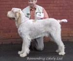 Filename=B-LikelyLad.jpg
Filesize=60KiB
Dimensions=600x508
Date added=Sep 16, 2009 B-LikelyLad.jpg