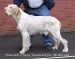 Filename=H-CrazyDiamond.jpg
Filesize=59KiB
Dimensions=600x476
Date added=Sep 16, 2009 H-CrazyDiamond.jpg