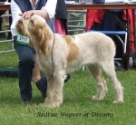 Filename=R-WeaverOfDreams.jpg
Filesize=80KiB
Dimensions=600x552
Date added=Sep 16, 2009 R-WeaverOfDreams.jpg