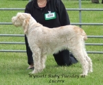 Filename=W-RubyTuesday.jpg
Filesize=74KiB
Dimensions=600x498
Date added=Sep 16, 2009 W-RubyTuesday.jpg
