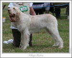 Filename=A-Alana.jpg
Filesize=87KiB
Dimensions=759x611
Date added=Sep 16, 2009 A-Alana.jpg