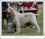 Filename=B-Daydream.jpg
Filesize=100KiB
Dimensions=762x670
Date added=Sep 16, 2009 B-Daydream.jpg