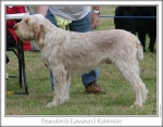 Filename=B-EdwardGRobinson.jpg
Filesize=91KiB
Dimensions=758x596
Date added=Sep 16, 2009 B-EdwardGRobinson.jpg
