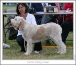 Filename=N-DaisyDuke.jpg
Filesize=93KiB
Dimensions=761x659
Date added=Sep 16, 2009 N-DaisyDuke.jpg