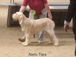 Filename=N-Tara.jpg
Filesize=70KiB
Dimensions=600x450
Date added=Sep 16, 2009 N-Tara.jpg