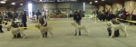 Filename=Class winners.JPG
Filesize=112KiB
Dimensions=1709x600
Date added=Sep 16, 2009 Class winners.JPG