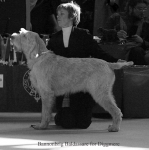 Filename=B-Baldassare.jpg
Filesize=49KiB
Dimensions=650x652
Date added=Sep 16, 2009 B-Baldassare.jpg