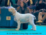 Filename=B-CuttingEdge.jpg
Filesize=62KiB
Dimensions=650x500
Date added=Sep 16, 2009 B-CuttingEdge.jpg