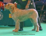 Filename=B-EdwardGRobinson.jpg
Filesize=57KiB
Dimensions=650x511
Date added=Sep 16, 2009 B-EdwardGRobinson.jpg