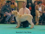 Filename=B-FayWray.jpg
Filesize=77KiB
Dimensions=650x500
Date added=Sep 16, 2009 B-FayWray.jpg