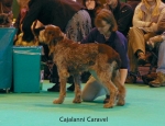 Filename=C-Caravel.jpg
Filesize=57KiB
Dimensions=650x500
Date added=Sep 16, 2009 C-Caravel.jpg