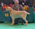 Filename=C-Carlo.jpg
Filesize=60KiB
Dimensions=650x534
Date added=Sep 16, 2009 C-Carlo.jpg