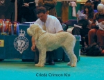 Filename=C-CrimsonKiss.jpg
Filesize=60KiB
Dimensions=650x500
Date added=Sep 16, 2009 C-CrimsonKiss.jpg
