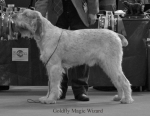 Filename=G-MagicWizard.jpg
Filesize=50KiB
Dimensions=650x503
Date added=Sep 16, 2009 G-MagicWizard.jpg