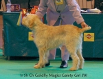 Filename=G-MagicsGaietyGirl.jpg
Filesize=57KiB
Dimensions=650x500
Date added=Sep 16, 2009 G-MagicsGaietyGirl.jpg