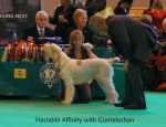 Filename=H-Affinity.jpg
Filesize=58KiB
Dimensions=650x500
Date added=Sep 16, 2009 H-Affinity.jpg