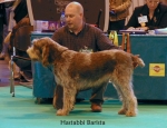 Filename=H-Barista.jpg
Filesize=60KiB
Dimensions=650x500
Date added=Sep 16, 2009 H-Barista.jpg