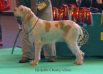 Filename=H-CheekyVimto.jpg
Filesize=64KiB
Dimensions=650x467
Date added=Sep 16, 2009 H-CheekyVimto.jpg