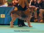 Filename=H-Maroschino.jpg
Filesize=59KiB
Dimensions=650x500
Date added=Sep 16, 2009 H-Maroschino.jpg