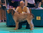 Filename=H-Ristoretto.jpg
Filesize=59KiB
Dimensions=650x500
Date added=Sep 16, 2009 H-Ristoretto.jpg
