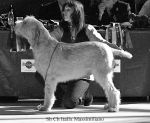 Filename=I-Massimiliano.jpg
Filesize=65KiB
Dimensions=650x536
Date added=Sep 16, 2009 I-Massimiliano.jpg