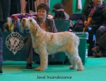 Filename=J-Incandescence.jpg
Filesize=66KiB
Dimensions=650x500
Date added=Sep 16, 2009 J-Incandescence.jpg