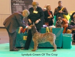 Filename=L-CreamOfTheCrop.jpg
Filesize=67KiB
Dimensions=650x500
Date added=Sep 16, 2009 L-CreamOfTheCrop.jpg