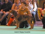 Filename=L-NippySweetie.jpg
Filesize=62KiB
Dimensions=650x500
Date added=Sep 16, 2009 L-NippySweetie.jpg