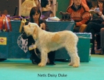 Nom du fichier=N-DaisyDuke.jpg
Taille du fichier=62Ko
Dimensions : 650x500
Ajouté le : 16 Septembre 2009 N-DaisyDuke.jpg