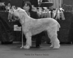 Nom du fichier=N-UnNuovoInizio.jpg
Taille du fichier=50Ko
Dimensions : 650x524
Ajouté le : 16 Septembre 2009 N-UnNuovoInizio.jpg