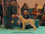 Filename=O-LifeAmbition.jpg
Filesize=58KiB
Dimensions=650x500
Date added=Sep 16, 2009 O-LifeAmbition.jpg