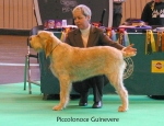 Filename=P-Guinevere.jpg
Filesize=61KiB
Dimensions=650x500
Date added=Sep 16, 2009 P-Guinevere.jpg