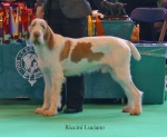 Filename=R-Luciano.jpg
Filesize=69KiB
Dimensions=650x536
Date added=Sep 16, 2009 R-Luciano.jpg