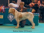 Filename=R-MakerOfDreams.jpg
Filesize=63KiB
Dimensions=650x500
Date added=Sep 16, 2009 R-MakerOfDreams.jpg