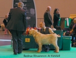 Filename=R-Rhuannon.jpg
Filesize=56KiB
Dimensions=650x500
Date added=Sep 16, 2009 R-Rhuannon.jpg