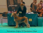 Filename=S-Enigma.jpg
Filesize=61KiB
Dimensions=650x500
Date added=Sep 16, 2009 S-Enigma.jpg
