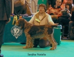 Filename=S-Natalia.jpg
Filesize=64KiB
Dimensions=650x500
Date added=Sep 16, 2009 S-Natalia.jpg