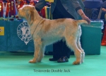 Filename=T-DoubleJack.jpg
Filesize=65KiB
Dimensions=650x466
Date added=Sep 16, 2009 T-DoubleJack.jpg
