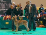 Filename=T-JigsawPuzzle.jpg
Filesize=65KiB
Dimensions=650x500
Date added=Sep 16, 2009 T-JigsawPuzzle.jpg