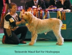 Filename=T-MaudEarl.jpg
Filesize=65KiB
Dimensions=650x500
Date added=Sep 16, 2009 T-MaudEarl.jpg