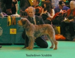 Filename=T-Scrabble.jpg
Filesize=60KiB
Dimensions=650x500
Date added=Sep 16, 2009 T-Scrabble.jpg