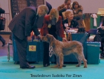 Filename=T-Sudoku.jpg
Filesize=59KiB
Dimensions=650x500
Date added=Sep 16, 2009 T-Sudoku.jpg