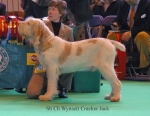 Filename=W-CrackerJack.jpg
Filesize=57KiB
Dimensions=650x504
Date added=Sep 16, 2009 W-CrackerJack.jpg