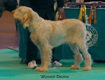 Filename=W-Devine.jpg
Filesize=52KiB
Dimensions=650x500
Date added=Sep 16, 2009 W-Devine.jpg